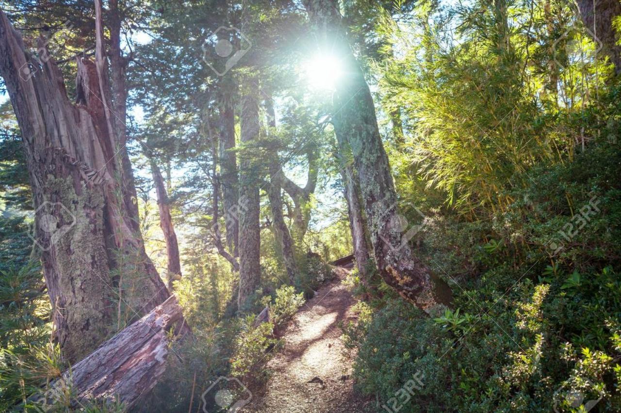 Foret Austral Ranomafana Εξωτερικό φωτογραφία